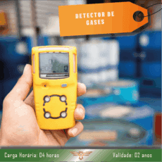 Detector de Gases