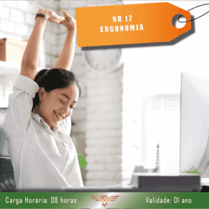 Curso de Ergonomia – NR 17 – 08 horas com Certificado