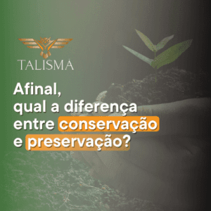 Read more about the article Qual a diferença entre conservação e preservação?