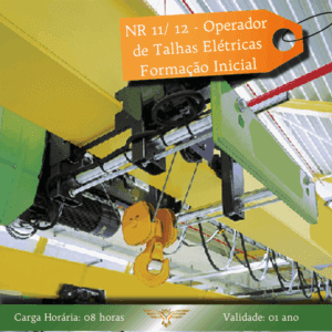 Curso de NR 11/ 12 – Operador de Talhas Elétricas – Formação Inicial – 08 horas