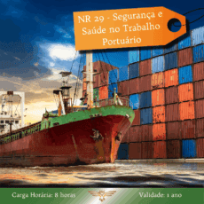 Curso de NR 29 - Segurança e Saúde no Trabalho Portuário - 08 horas