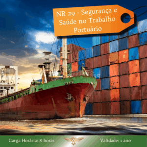 Curso de NR 29 – Segurança e Saúde no Trabalho Portuário – 08 horas