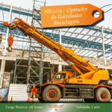 Operador Guindauto Reciclagem