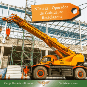 Curso de NR 11/NR12 – Operador de Guindauto – Reciclagem – 08 horas