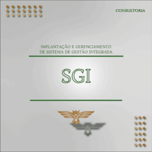 Consultoria – SGI – Sistema de Gestão Integrado