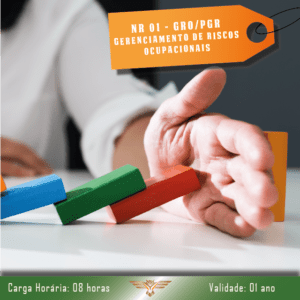 Curso de NR 01 – PGR/GRO – Programa de Gerenciamento de Riscos – 08 horas