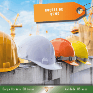 Curso de Noções Básicas de QSMS – 08 horas com Certificado