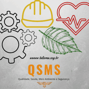 Read more about the article De onde surgiu o termo QSMS?