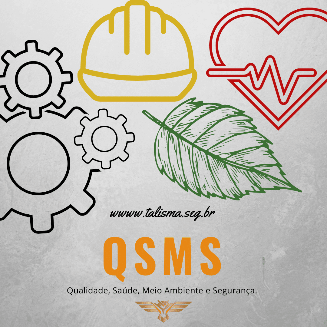 Read more about the article De onde surgiu o termo QSMS?