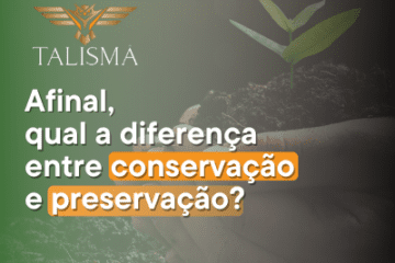 Qual a diferença entre conservação e preservação? 5 Imagem de mãos segurando um punhado de terra com uma planta. Ao lado, há o texto “Afinal, qual a diferença entre conservação e preservação."