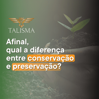 Read more about the article Qual a diferença entre conservação e preservação?