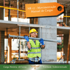 Curso de NR 17 – Movimentação Manual de Cargas – 08 horas