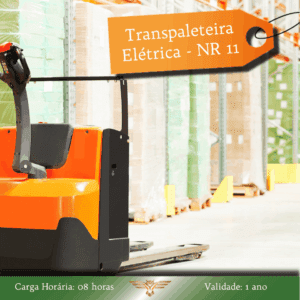 Curso de NR 11 – Transpaleteira Elétrica – Reciclagem – 08 horas
