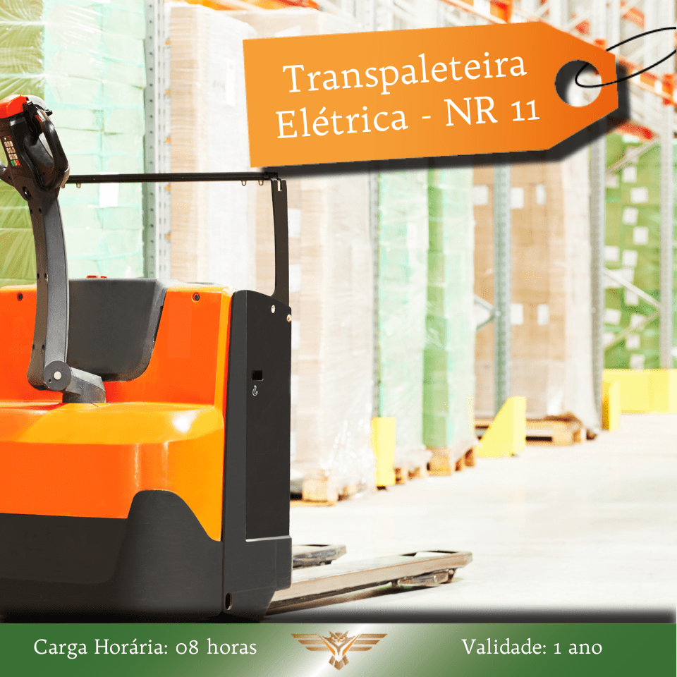 Curso de NR 11 - Transpaleteira Elétrica - Reciclagem - 08 horas 1 -