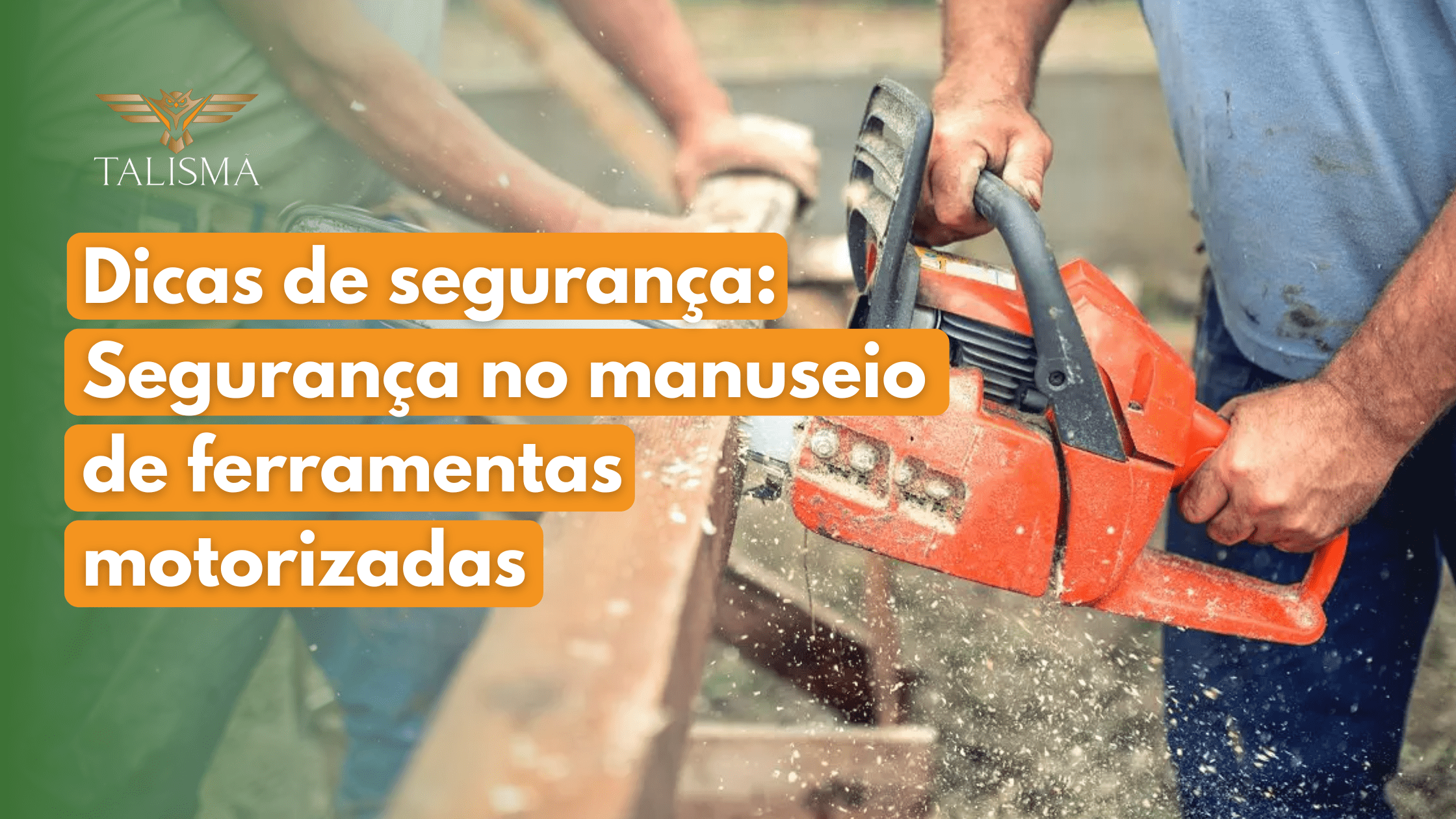 Read more about the article Segurança no manuseio de ferramentas motorizadas – dicas de segurança