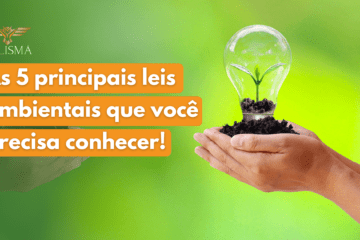 As 5 principais leis ambientais que você precisa conhecer 35 As 5 principais leis ambientais que você precisa conhecer 34 - Meio Ambiente