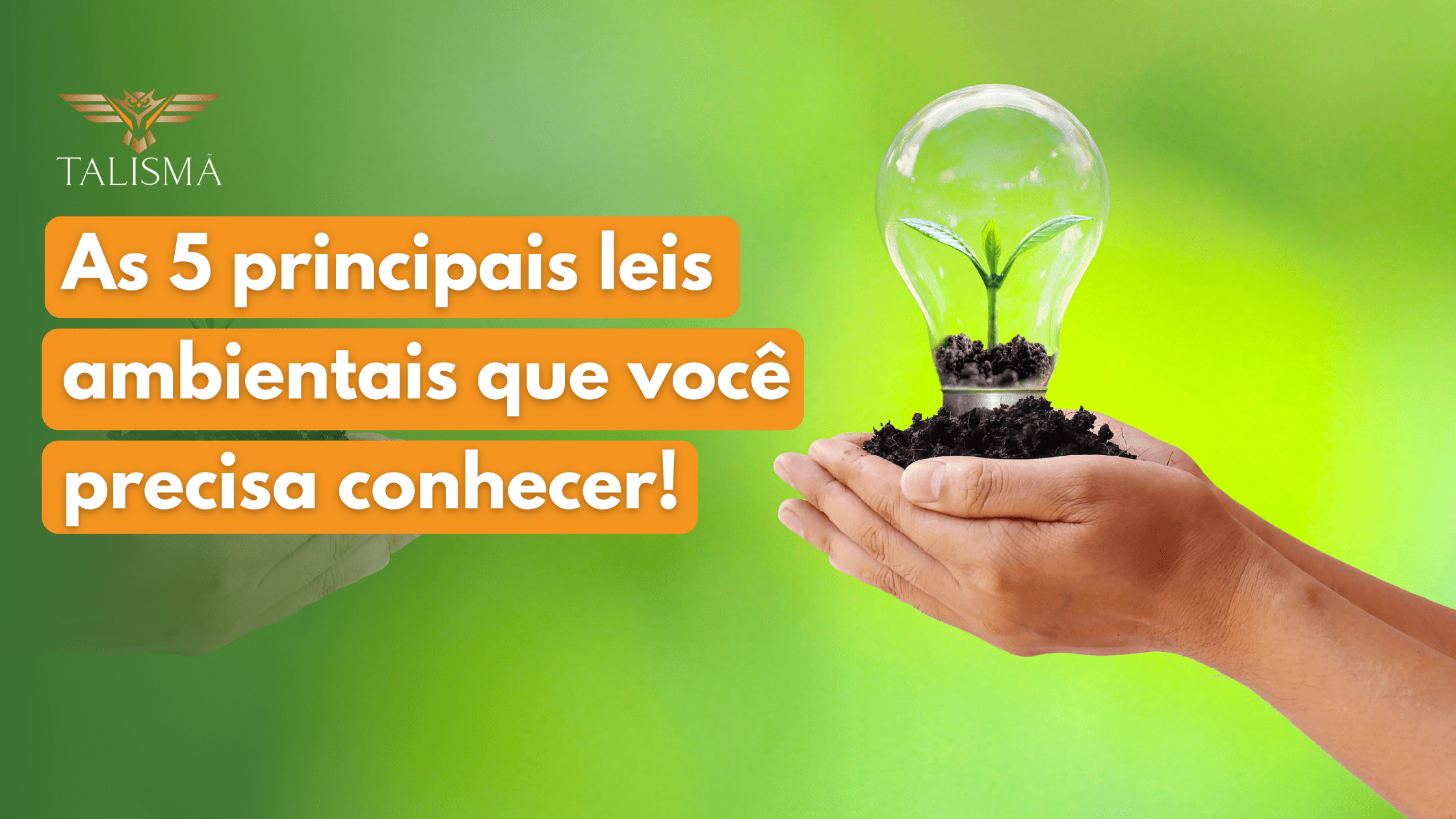 Read more about the article As 5 principais leis ambientais que você precisa conhecer