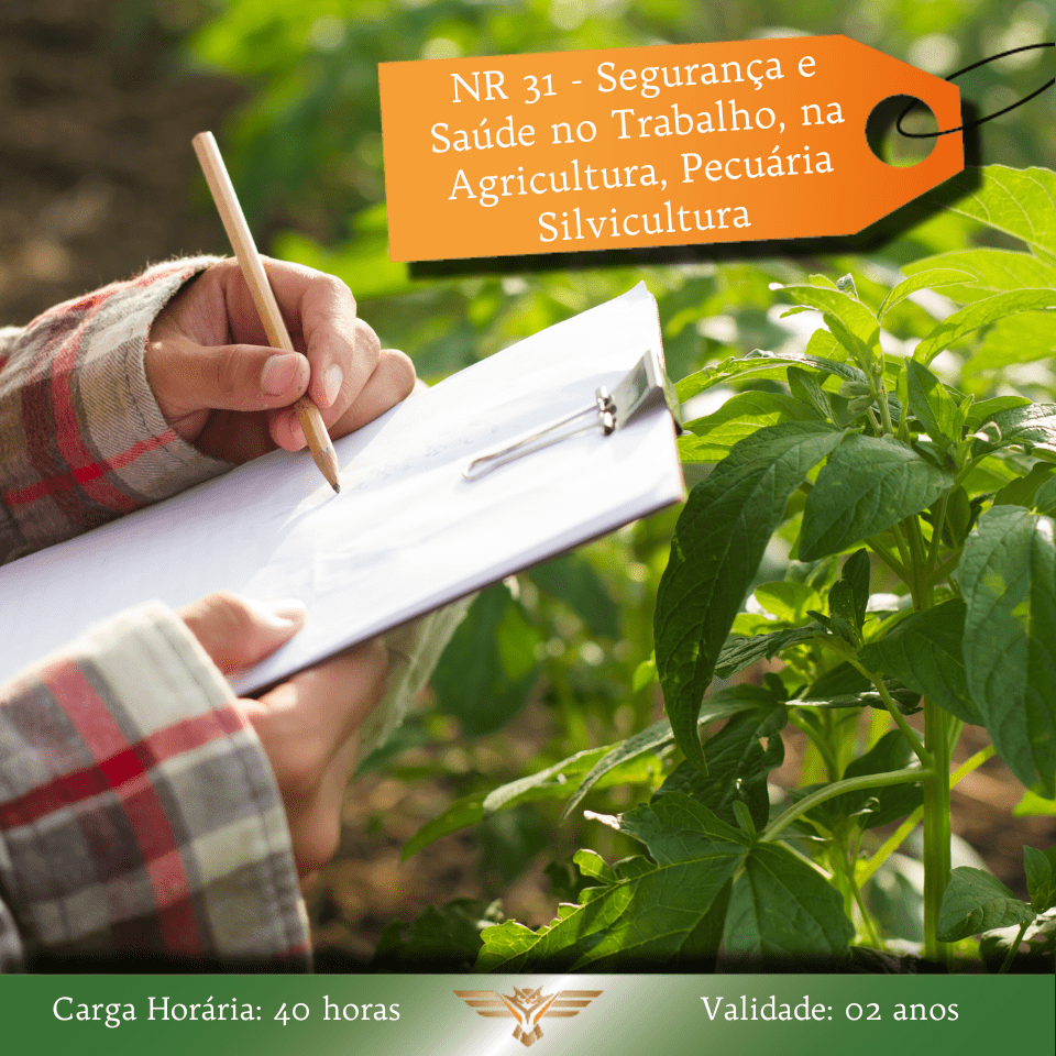 Curso de NR 31 - Segurança e Saúde no Trabalho, na Agricultura, Pecuária, Silvicultura, Exploração Florestal e Aquicultura - 40 horas 3 -