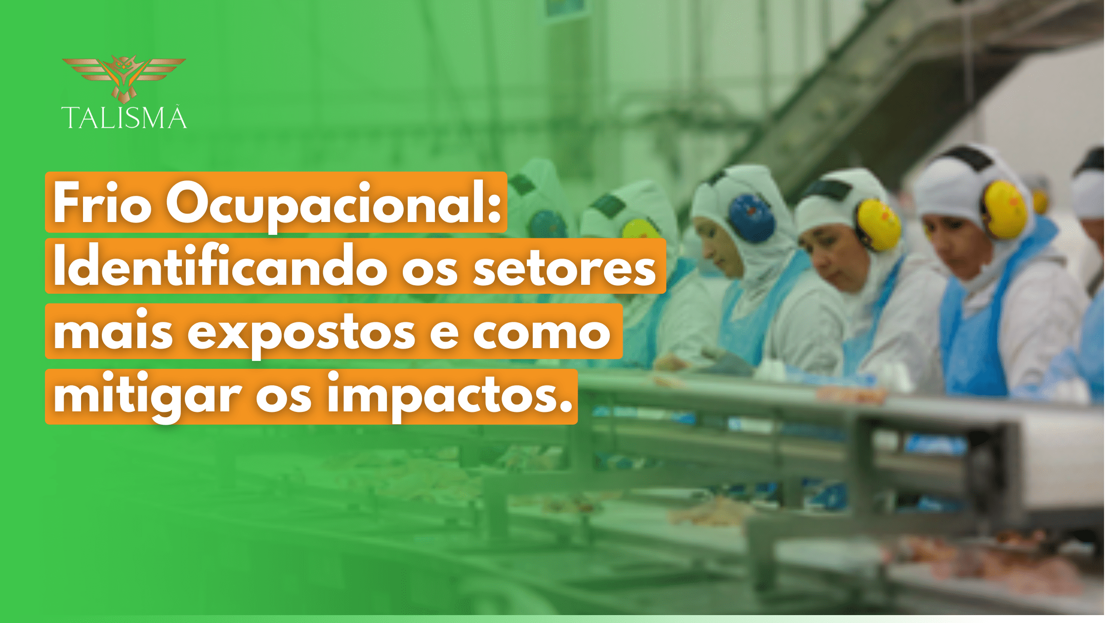 Read more about the article Frio ocupacional: identificando os setores mais expostos e como mitigar os impactos