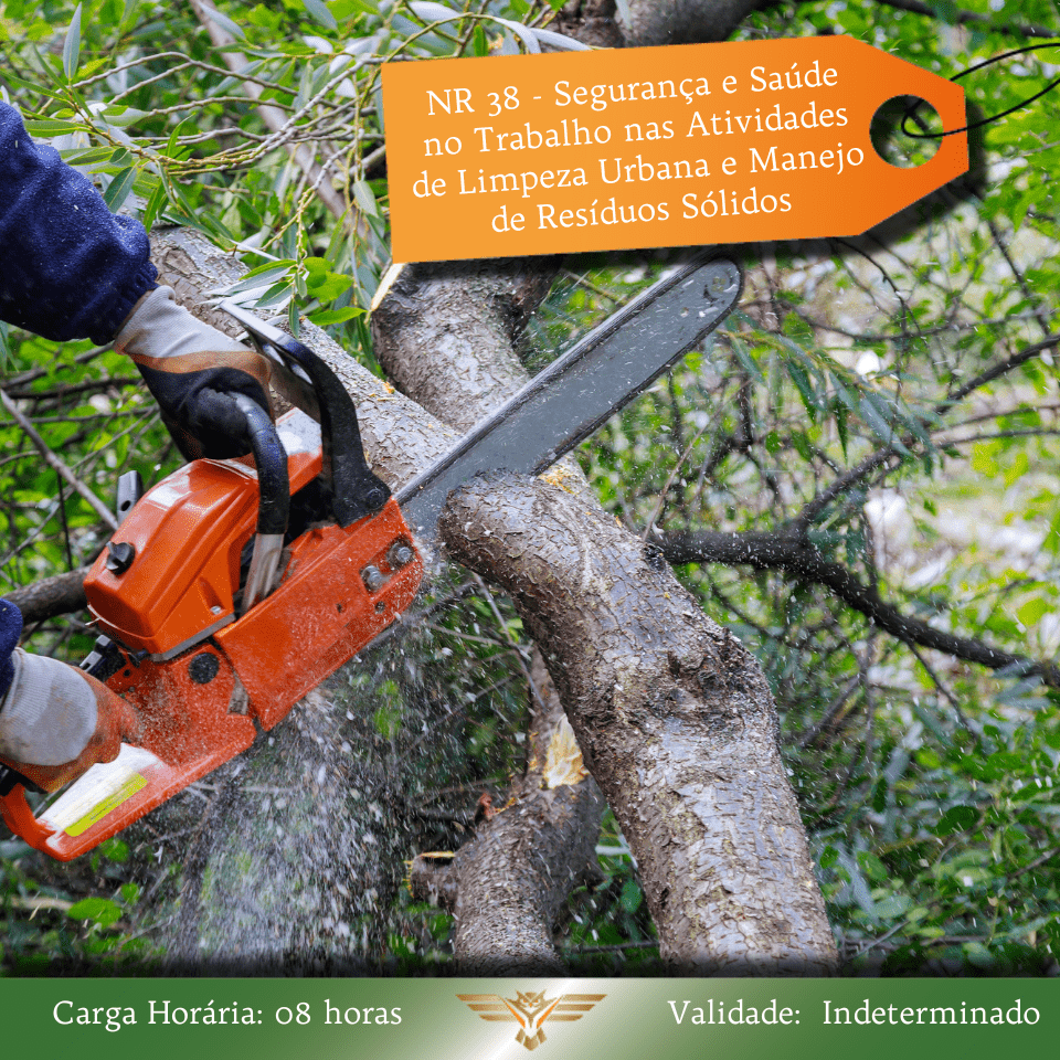 Curso de NR 38 - Segurança e Saúde no Trabalho nas Atividades de Limpeza Urbana e Manejo de Resíduos Sólidos - Poda de árvores - 08 horas 1 -