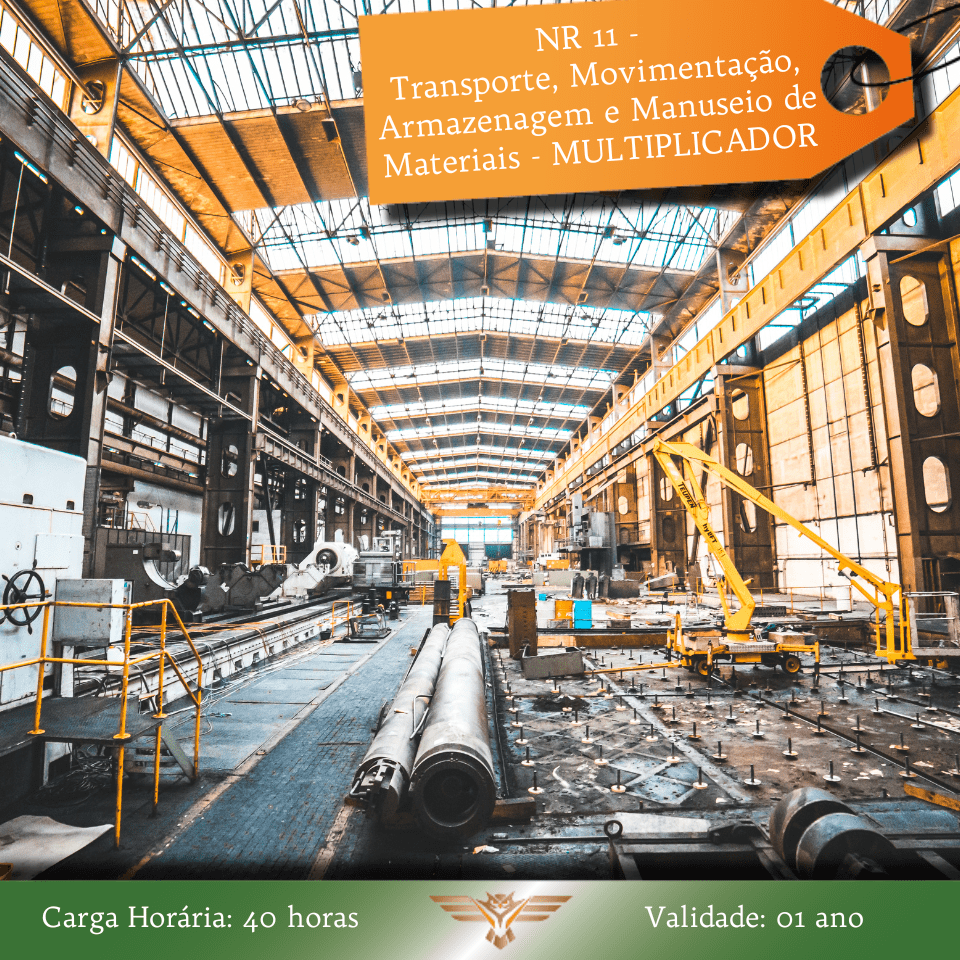Curso de Multiplicador NR 11 - Transporte, Movimentação, Armazenagem e Manuseio de Materiais - 40 horas 3 -