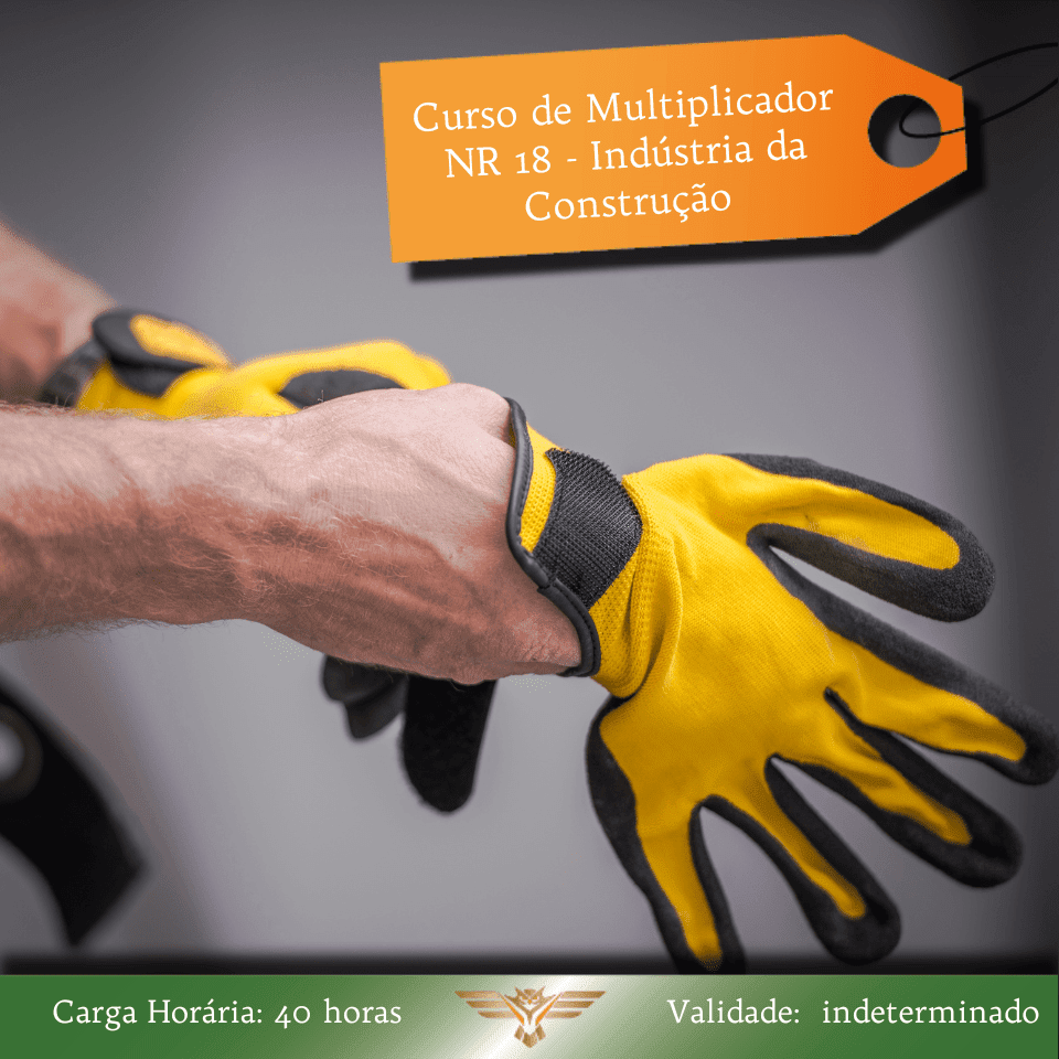 Curso de Multiplicador NR 18 - Indústria da Construção 2 -