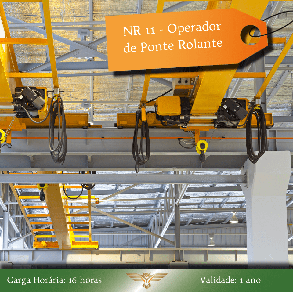 Curso de NR 11/NR 12 - Operador de Ponte Rolante - Formação Inicial - 16 horas (Em Inglês) 1 -